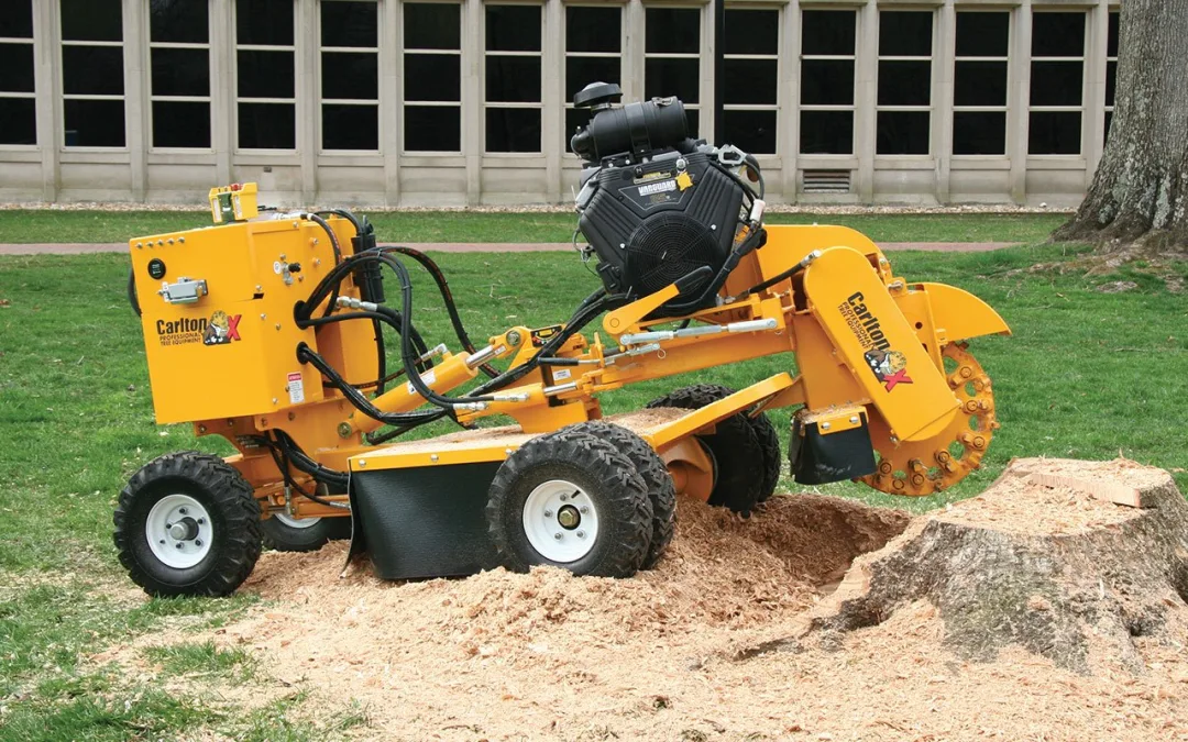 How Long Does Stump Grinding Take in Austin? Timelines & Expectations